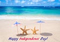 Independence Day USA background with starfishes