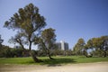 Independence Park & Hilton Hotel, Tel Aviv