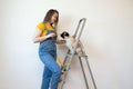 Happy woman makes repairs in her apartment. Funny female with a roller on ladder with copy space. Independent single Royalty Free Stock Photo