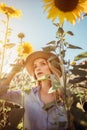 Independent young woman on a farm in sunflowers field