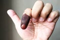 Index finger with indelible ink stain after voting in election Royalty Free Stock Photo