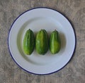 Fresh pointed gourd on a blue enamel plate, a vine plant in the family Cucurbitaceae, similar to cucumber and squash Royalty Free Stock Photo