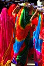 India, Chittorgarh: Jain ceremony