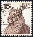 INDIA - CIRCA 1974: A stamp printed in India shows a Bengal tiger, circa 1974.