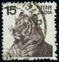 INDIA - CIRCA 1975: stamp printed in India, shows animal Tiger Panthera tigris, circa 1975