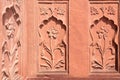 India, Delhi, Mar 30 2019 - Detail, Islamic bas relief decoration on red sandstone of entry gate, Lal Qila or Red Fort