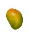India DEVGAD MANGO isolated on white background Royalty Free Stock Photo