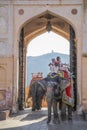 India elephant with colorful paintting with mahout on top at Amber Palace, Rajasthan, India