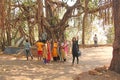 India, GOA, January 18, 2018. A group of Indian girls on a background of a large sacred banyan tree makes a selfie. Selfish on a