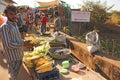 India, GOA, January 24, 2018. The seller of cooked and baked corn. Street trading in India, selling corn. Street delicious food Royalty Free Stock Photo