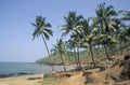 INDIA GOA LANDSCAPE BEACH Royalty Free Stock Photo