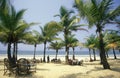 INDIA GOA LANDSCAPE BEACH Royalty Free Stock Photo