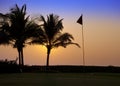 India. Goa. A sunset over palm trees and tags on the golf course Royalty Free Stock Photo