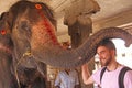 India, Hampi, 01 February 2018. Indian elephant in the Temple of Virupaksha blesses a man for money
