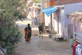 India, Hampi, 02 February 2018. The Indian Woman in the sari is walking down the street in the village of Hampi. A cow in the Royalty Free Stock Photo