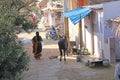 India, Hampi, 02 February 2018. The Indian Woman in the sari is walking down the street in the village of Hampi. A cow in the Royalty Free Stock Photo