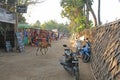 India, Hampi, 02 February 2018. The main street of the village of Virupapur Gaddi. Life, economy, tourists, cows, the market,