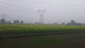 India Haryana former field in rain season cool masoo and green grass infield in high voltage Tower