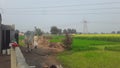 India Haryana former house field in green grass field in high voltage Tower Royalty Free Stock Photo