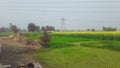 India Haryana former house field in green grass field in high voltage Tower Royalty Free Stock Photo