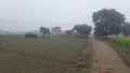 India Haryana former house field in rain season and green grass infield in high voltage Tower Royalty Free Stock Photo