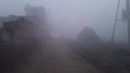 India Haryana in today fog in morning cool seasion