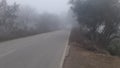 India Haryana in today fog in morning cool seasion