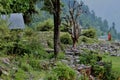 INDIA, Himachal Pradesh, Manali, SHEPHERDESS, MOUNTAIN, HIMALAYA