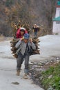 Sherpas carry large bundles of firewood on their backs
