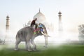 India, Indian Elephant, Taj Mahal