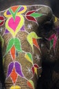 India Jaipur painted elephant Royalty Free Stock Photo