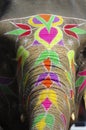 India Jaipur painted elephant Royalty Free Stock Photo