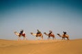 Caravan of camels dromedary with tourists