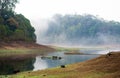 India Kumily, Kerala, India - National park Periyar Wildlife San