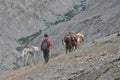 India - Ladakh (little Tibet) landscape with nomad