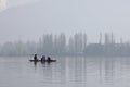 India: Misty morning in Srinagar