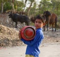 boy carries a gas cylinder home on the background of a herd of cows.