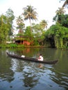 India.Palm tree tropical forest in backwaters destinations of Kerala, India. Royalty Free Stock Photo