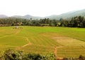 India Patchwork Crop Fields in the Plains Royalty Free Stock Photo