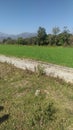 India photo of indian farming in hill area