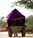 A red-carpet gypsy caravan Royalty Free Stock Photo