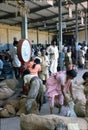 1977. India. Sacks of vegetables are being weighted.