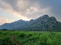 India tamilnadu madurai ruralscape agricultural fields lands green meadows trees grasslands tourism destination mountain hill Royalty Free Stock Photo