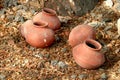 India traditional clay pots Royalty Free Stock Photo