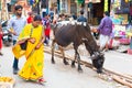 India, Varanasi, Mar 10 2019 - Unidentified hindu woman and sacred cow on the streets of sacred Varanasi old town Royalty Free Stock Photo