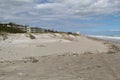 Sea turtle nesting area after hurricane Milton Royalty Free Stock Photo