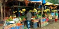 Indian agriculture produce market fruit and vegetables store
