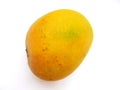 Indian Alphonso Mango Royalty Free Stock Photo