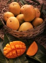 Indian Alphonso mango fruits in grass closeup