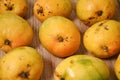 Indian Alphonso mango orange yellow color Royalty Free Stock Photo